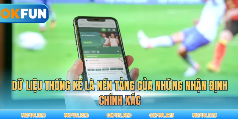 Dữ liệu thống kê là nền tảng của những nhận định chính xác