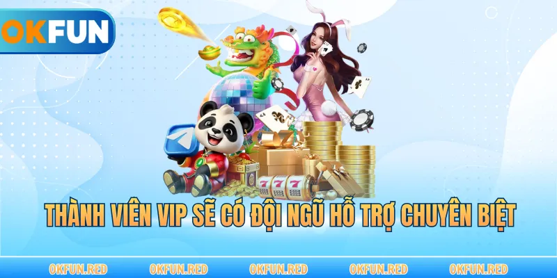 Thành viên VIP sẽ nhận được sự hỗ trợ chuyên biệt